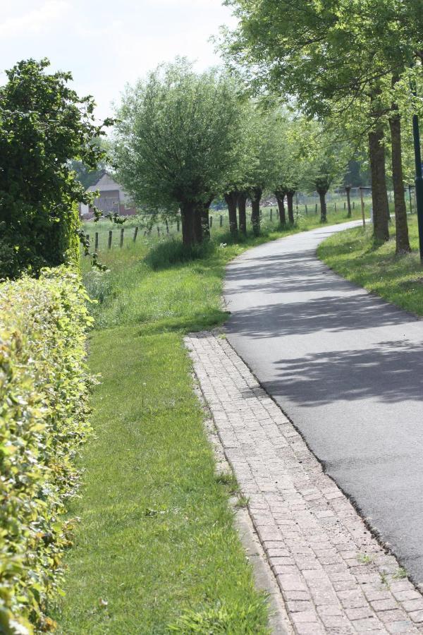 Bed and Breakfast Logerenbijonsz Berghem Esterno foto